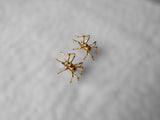 Bruno da Rocha spider earrings MOD Jewellery