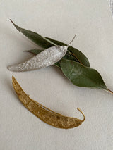 Little Nothing Eucalyptus Brooch MOD Jewellery