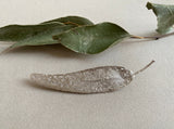 Little Nothing Eucalyptus Brooch MOD Jewellery