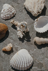 Odara Ring