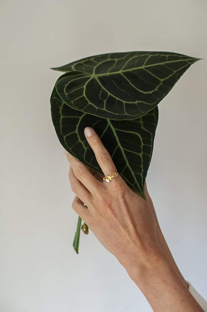 Inês Telles Juno Ring MOD Jewellery